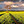 Matias_h - Original Poster